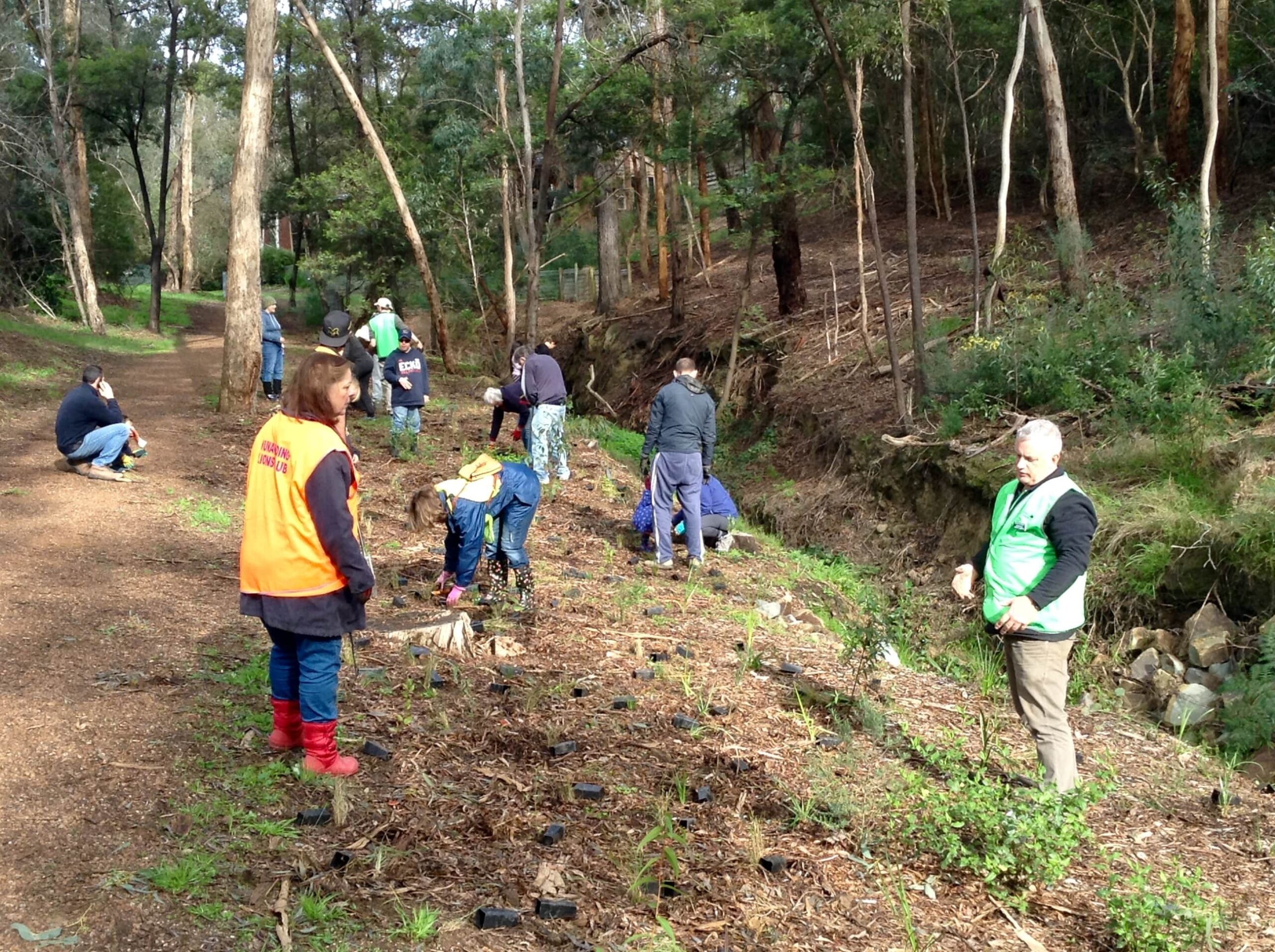 National Tree Planting Day